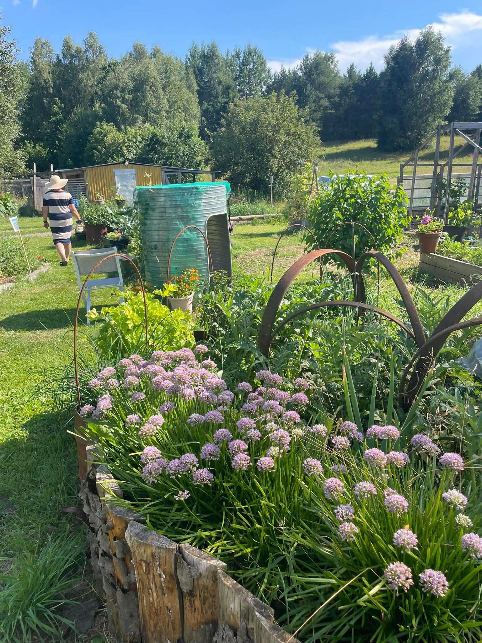 Odlingsbäddar och blommor i Ugglekullens trädgård